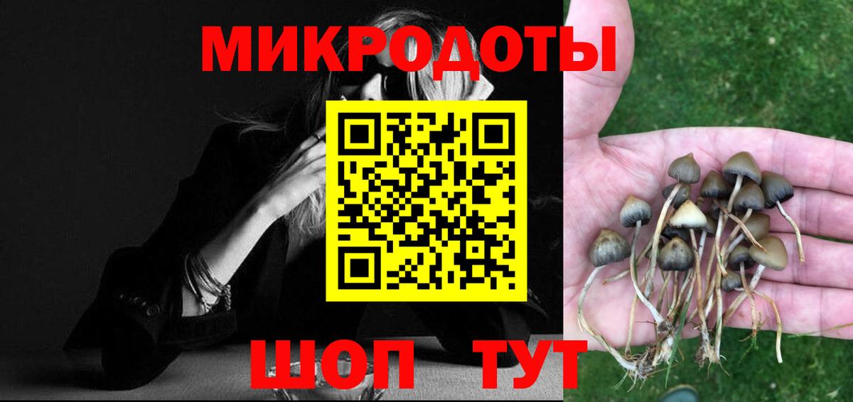 Псилоцибиновые грибы мицелий Биробиджан